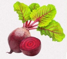 Beetroot