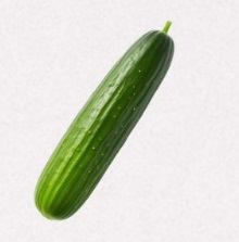 Cucumber