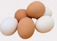 Eggs