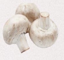 Mushrooms